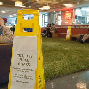 MIT Indoor Lawn project covered significant parts of Student Center (W20)'s first floor with real grass Nov. 27